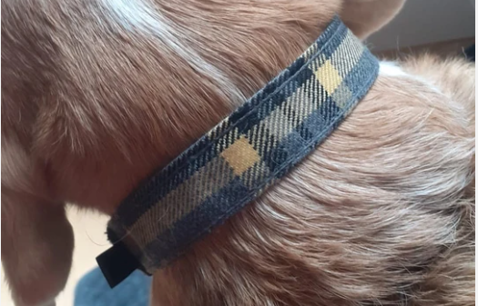 Tartan Beatson Cancer Charity