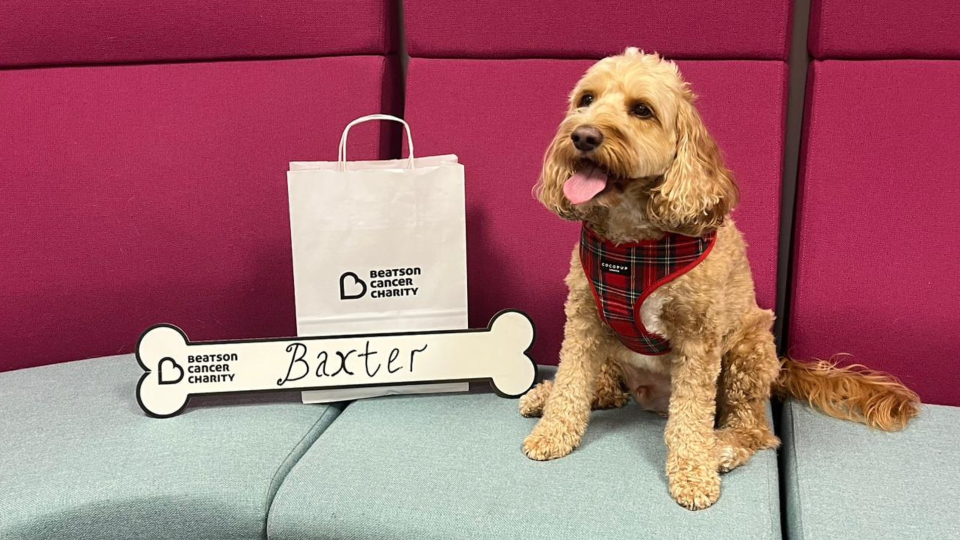 Baxter: Beatson Ambassadog 2025/26